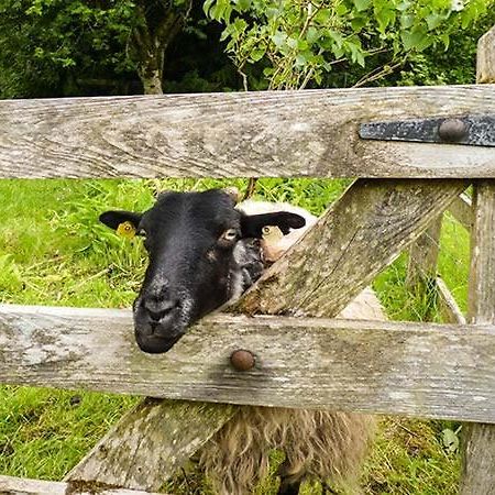 Hawthorn Farm Cottage Curry Bagian luar foto
