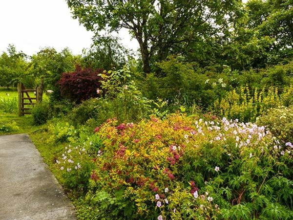 Hawthorn Farm Cottage Curry Bagian luar foto