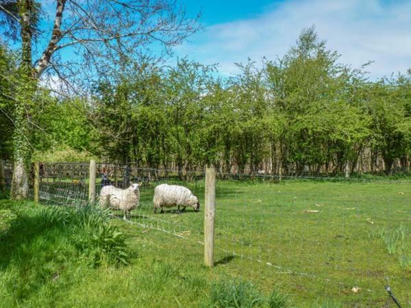 Hawthorn Farm Cottage Curry Bagian luar foto